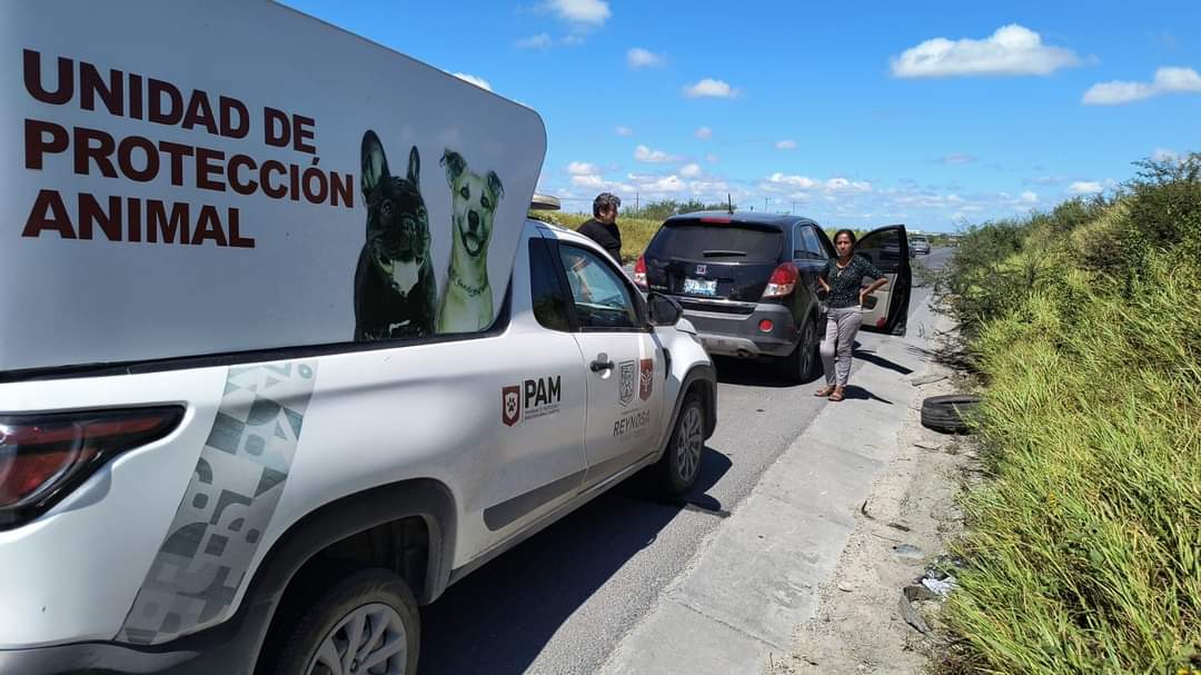 Lograron ciudadana compasiva y Gobierno de Carlos Peña Ortiz rescate de animal de compañía